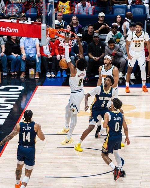 掘金击败鹈鹕！约基奇超级大三双 沃特森狂砍32分