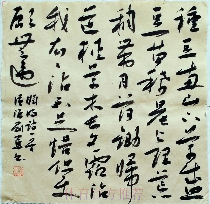 银舰拾「贝」无难度